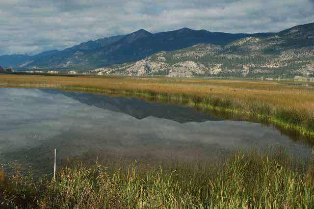 The Columbia Lake and River
